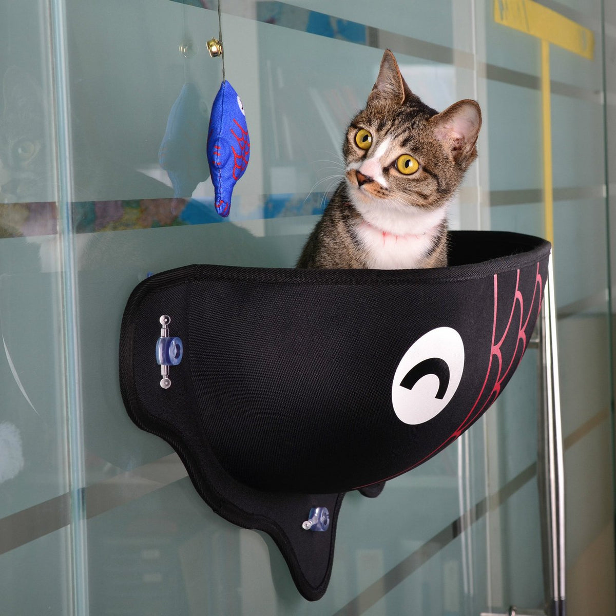 Suction-Cup Cat Window Perch