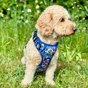 Rugged Rover™ Harness - Summer Meadow