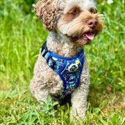Rugged Rover™ Harness - Summer Meadow